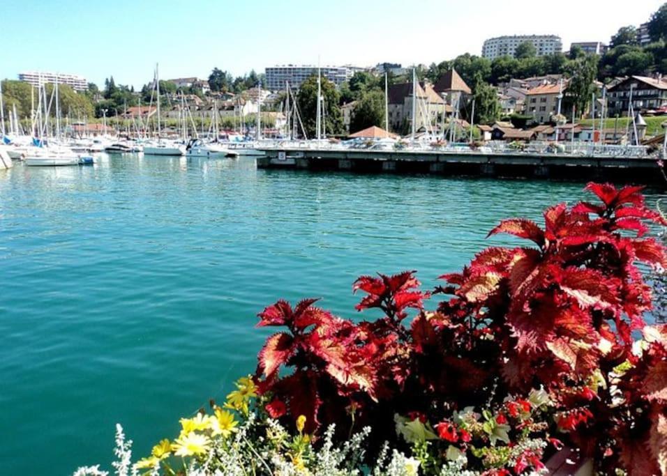 Apartamento Au Sunrise Studio Thonon-les-Bains Exterior foto